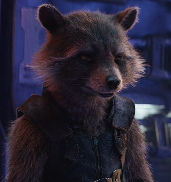 Rocket Raccoon